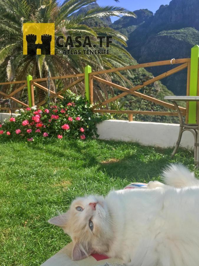 Sweet Home Masca Exterior foto